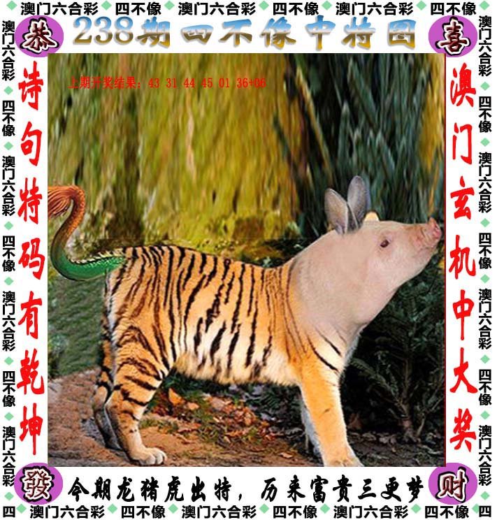 澳门246天天天彩免费全年资料,最新热门解析实施_精英版121,127.13