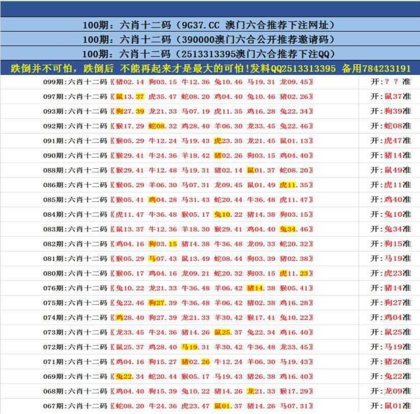 新澳门资料查询大全,效能解答解释落实_游戏版121,127.12