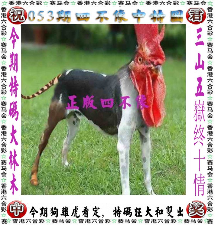澳门944cc天天彩凤凰,效能解答解释落实_游戏版121,127.12