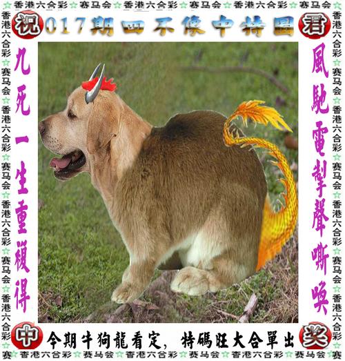 2023年澳门必中一肖一码,准确答案解释落实_3DM4121,127.13