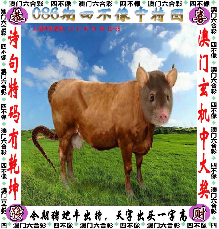 神算子一肖一码100%已更,数据解释落实_整合版121,127.13