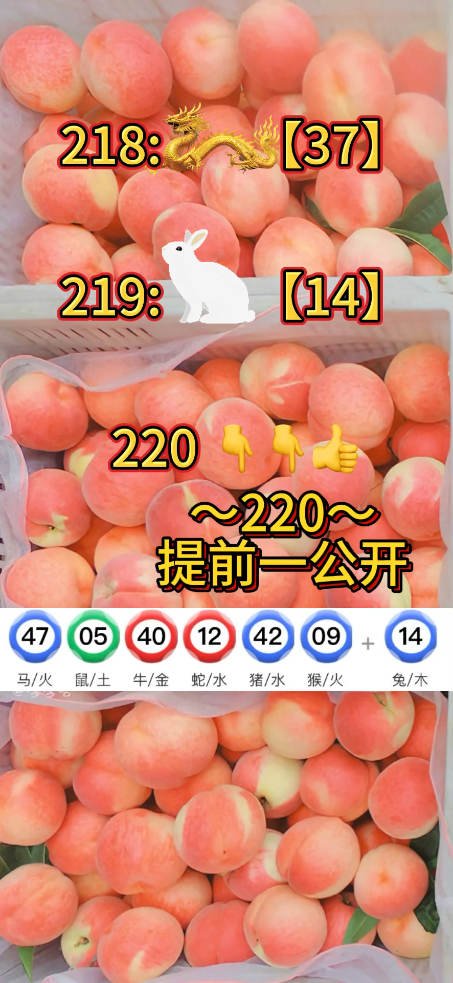 2024新澳门精准正版资料,准确答案解释落实_3DM4121,127.13