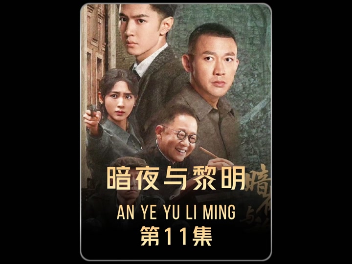 王志文暗夜与黎明电视剧免费观看,准确答案解释落实_3DM4121,127.13