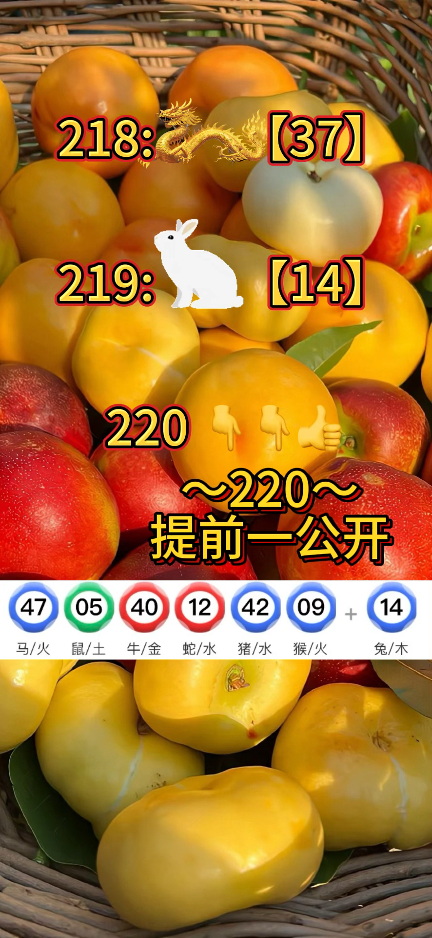 2024新澳门正版精准资料,最新热门解析实施_精英版121,127.13