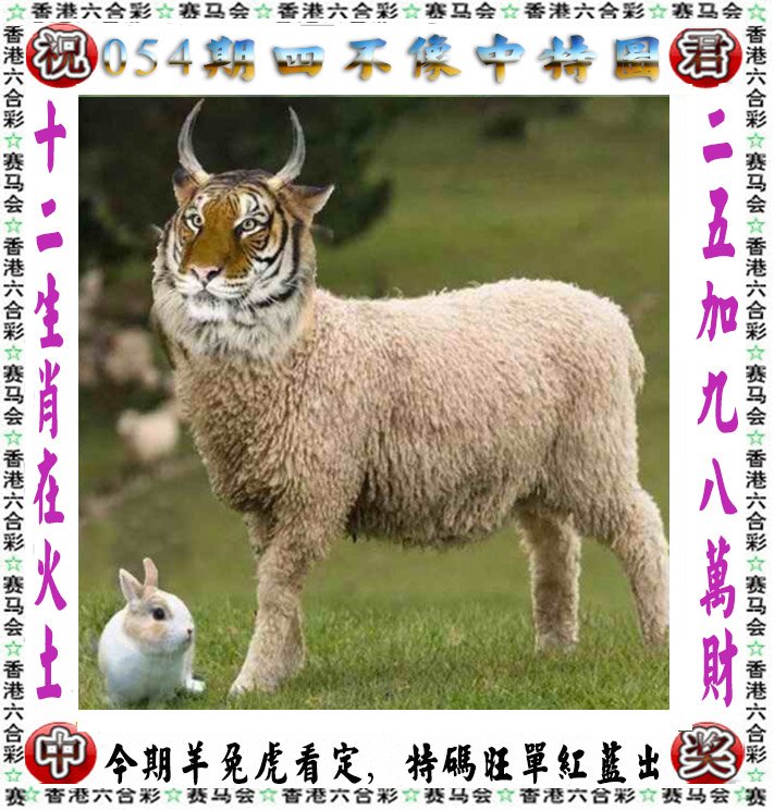新澳门2023开奖记录资料查询,数据解释落实_整合版121,127.13