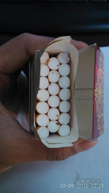 admin 第260页