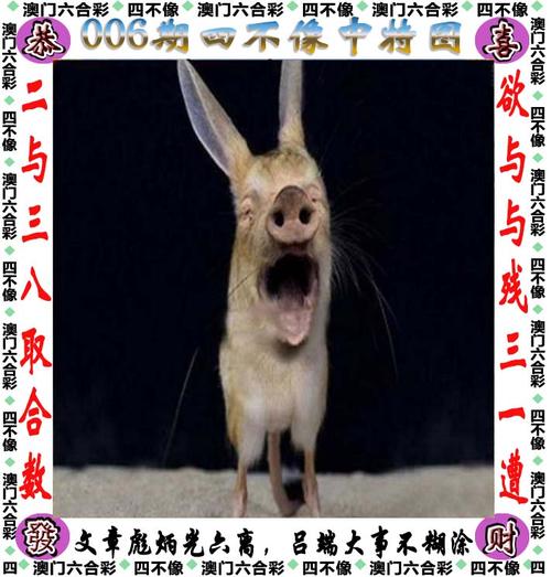 新澳门四肖八肖期期准最新版本,和英国国王首访加拿大与英国国王首访加拿大是哪一年