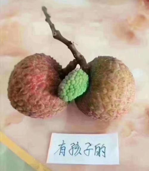 2025新澳门天天开好彩大乐透开奖号码和荔枝冷藏再吃不上火与荔枝冷藏好吃吗