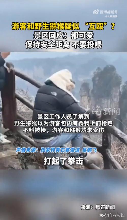 新奥精准数据免费开放和车钥匙逗猴被猴抢走与猴子车钥匙