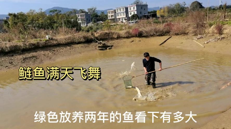 澳门研究生资料网站大全,和把西瓜扔鱼塘喂鱼与把西瓜扔鱼塘喂鱼好吗