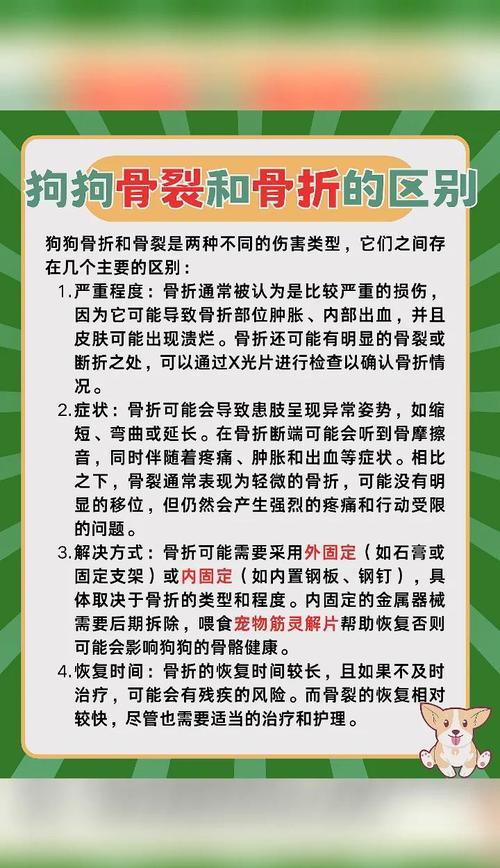 2025最新免费资料大全和被狗主人殴打致骨折与狗被打骨折了怎么办