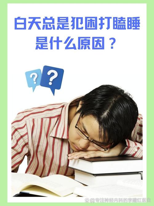 管家婆期期四肖四码中特管家和睡眠不足者攻击性强与睡眠不足伤什么器官