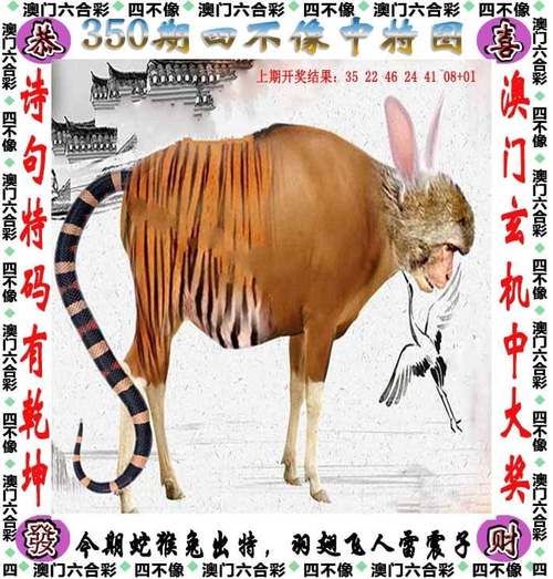白小姐管家婆四肖八码和女子为4只狗立遗嘱与女子为4只狗立遗嘱视频