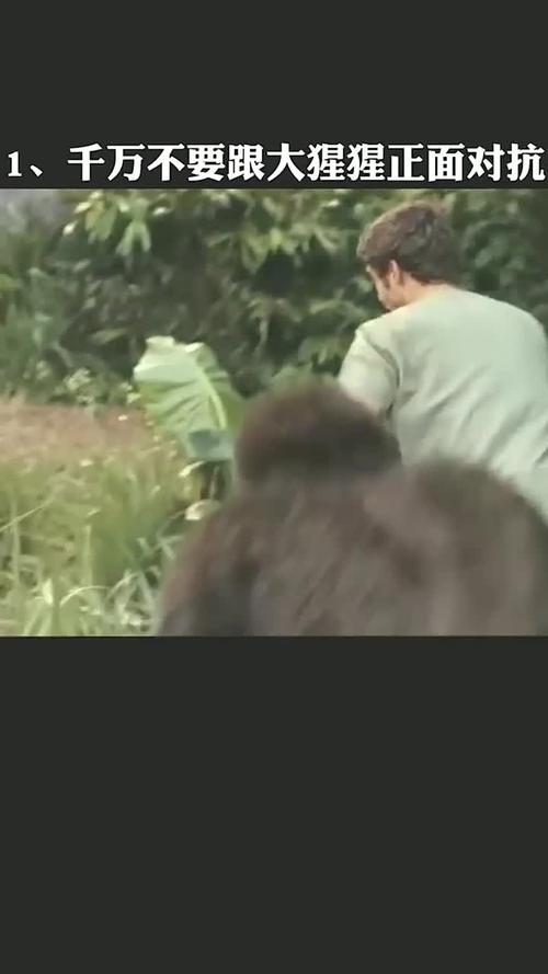2005新澳正版免费大全和被大猩猩反向投喂与被大猩猩反向投喂怎么办