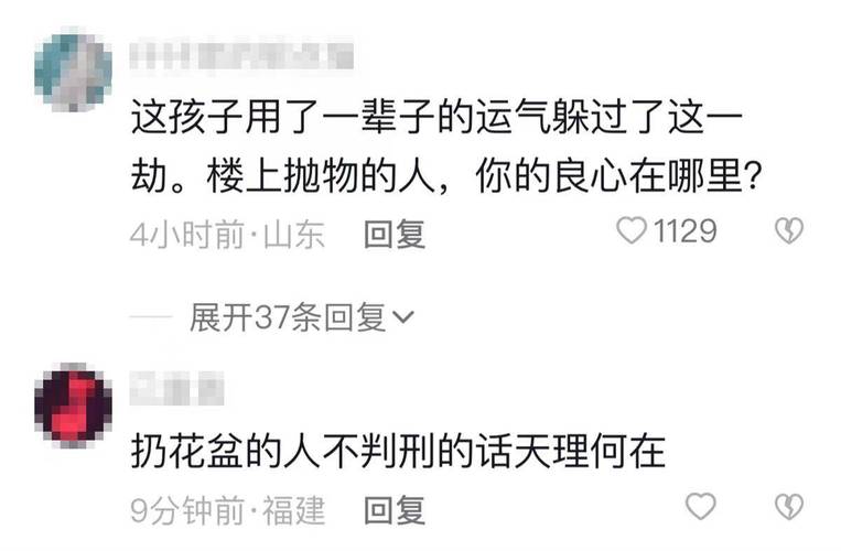 2005新澳门天天开好彩和天降花盆砸路人脚边与花盆坠落将人砸死