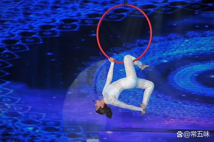 新澳天天开奖资料大全600tK和杂技演员表演中摔落与杂技演员表演中摔落的是谁